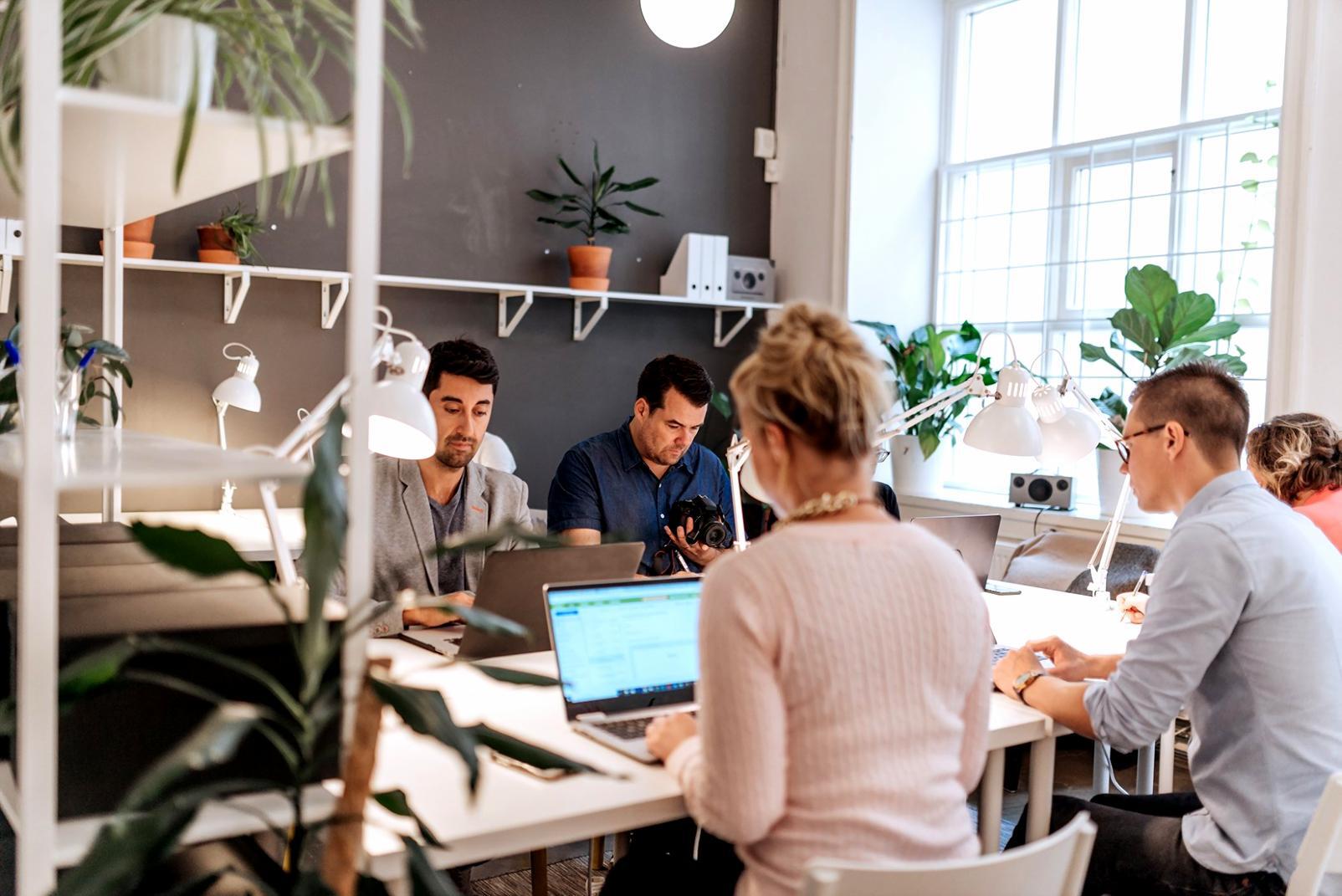 Business professional analyzing financial metrics on laptop